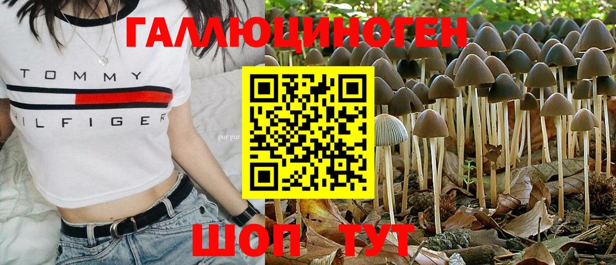 Псилоцибиновые грибы мицелий Севастополь